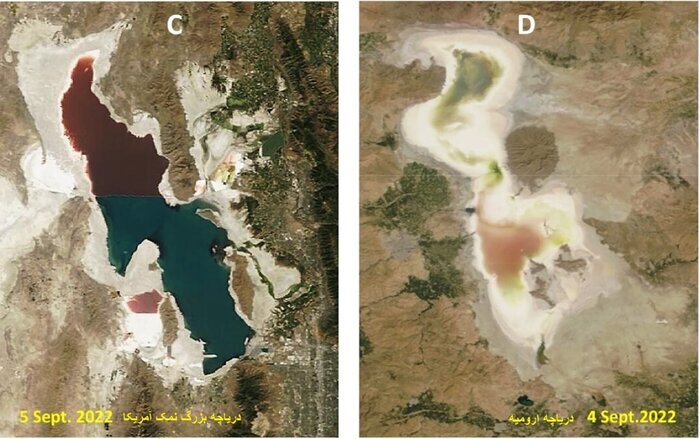 ۵ راهکار علمی برای نجات دریاچه ارومیه/ پیشنهاد دانشگاه «یوتا» برای حل بحران