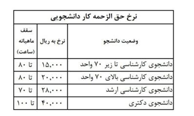 دانشجویان در قبال کار دانشجویی چقدر دریافت می‌کنند /طعم خوش زندگی مستقلی را در جامعه‌ای دانشگاهی تجربه کنید