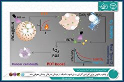 معرفی پلتفرم نانویی برای افزایش کارایی روش فتودینامیک در درمان سرطان پستان