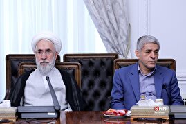 جلسه شورای‌عالی هماهنگی اقتصادی سران قوا