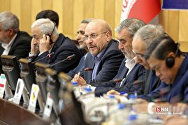 نشست سفرای کشور‌های اسلامی با نمایندگان مجلس