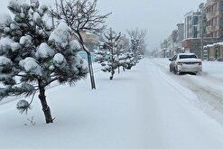 بارش باران و برف در ۲۴ استان تا جمعه