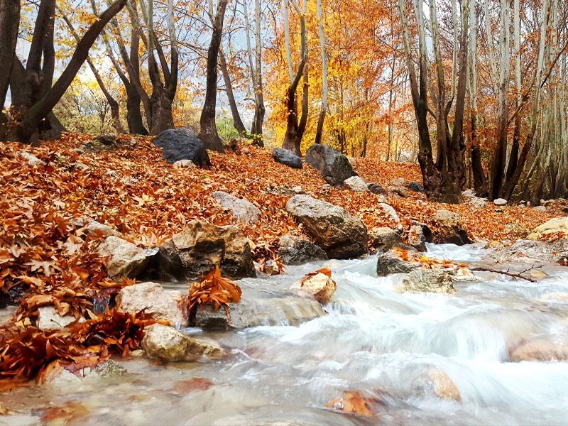 بهشت گمشده ایران در دل زاگرس////گزارش گردشگری