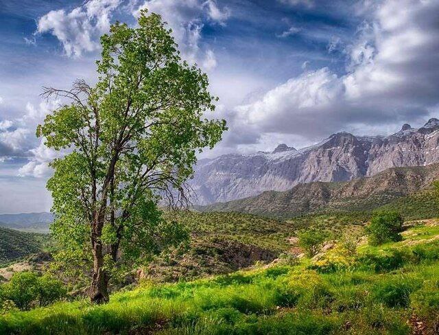 بهشت گمشده ایران در دل زاگرس////گزارش گردشگری