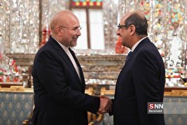 دیدار وزیر امور خارجه سوریه با رئیس مجلس شورای اسلامی
