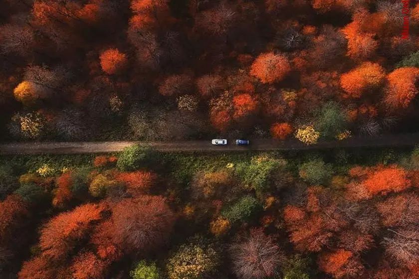 ۲۵ هزار هکتار جنگل بر باد می‌رود؟ / وقف حربه جدید جنگل‌خواران گلستان