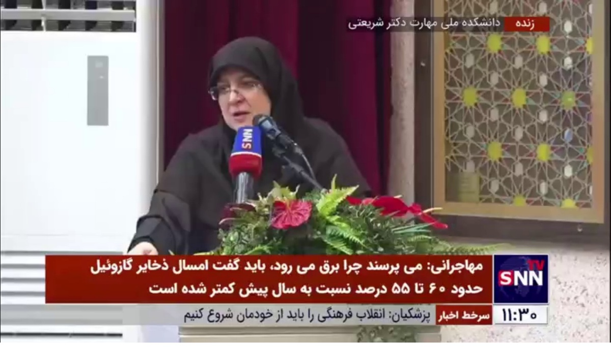 مهاجرانی: مشکل انرژی داریم؛ راهی هم نداریم/ چه کار کنیم؟ به مردم دروغ بگوییم؟