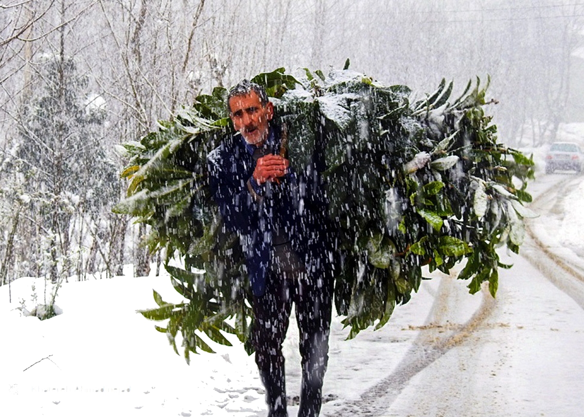 بارش برف در روستای پاشاکی گیلان