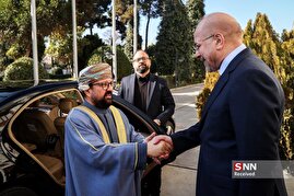 دیدار رئیس دیوان عالی سلطنت عمان با رئیس مجلس شورای اسلامی
