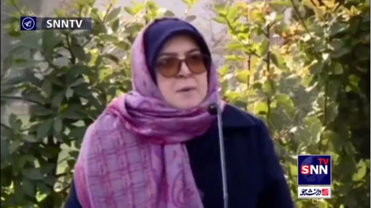 واکنش مهاجرانی به تهدید فعال کردن مکانیسم ماشه: امیدواریم از طریق دیپلماسی بتوانیم مسائل را حل کنیم