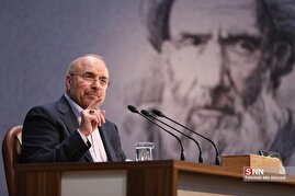 نشست خبری رئیس مجلس شورای اسلامی