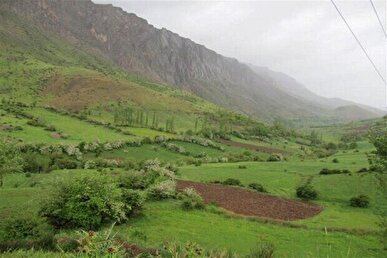 بهره‌برداری از مراتع مازندران در فصل گل‌دهی و بذردهی گیاهان ممنوع شد