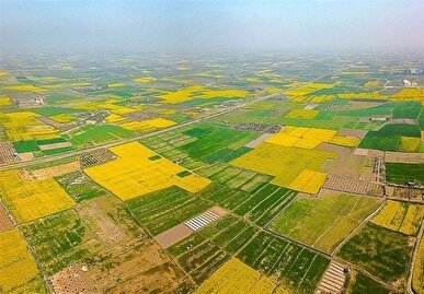 واگذاری ۲۷۷ هکتار زمین ملی به بنیاد مسکن در گیلان