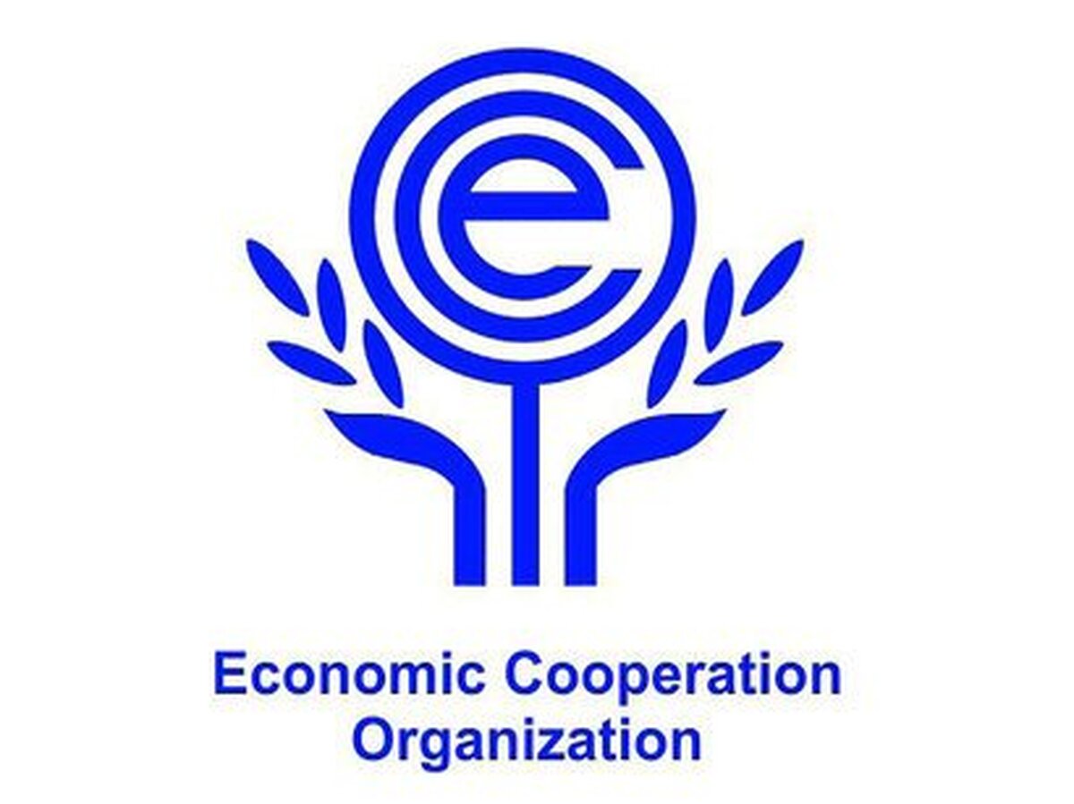 تأکید بر برگزاری نشست وزرای حمل‌ونقل اکو در ایران در دیدار دبیرکل اکو با وزیر حمل‌ونقل پاکستان