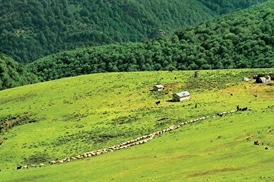 فرماندار: طرح جدید منابع طبیعی، مانعی برای سرمایه‌گذاری در خلخال است