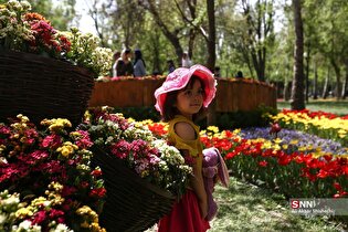 جشنواره گل‌های بهاری در پارک ملت مشهد