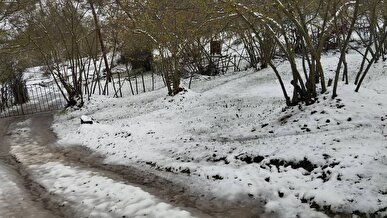شدت برف و باران در گیلان؛ ارتفاعات سفیدپوش شدند