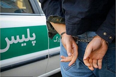 زوج کلاهبردار با ۳۸ سکه تقلبی در زنجان دستگیر شدند