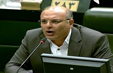 لک علی‌آبادی: همتی را که مجلس دست رد به سینه‌اش می‌زند دولت دست به سینه‌اش می‌ماند؛ این یعنی دهن کجی به مجلس + فیلم