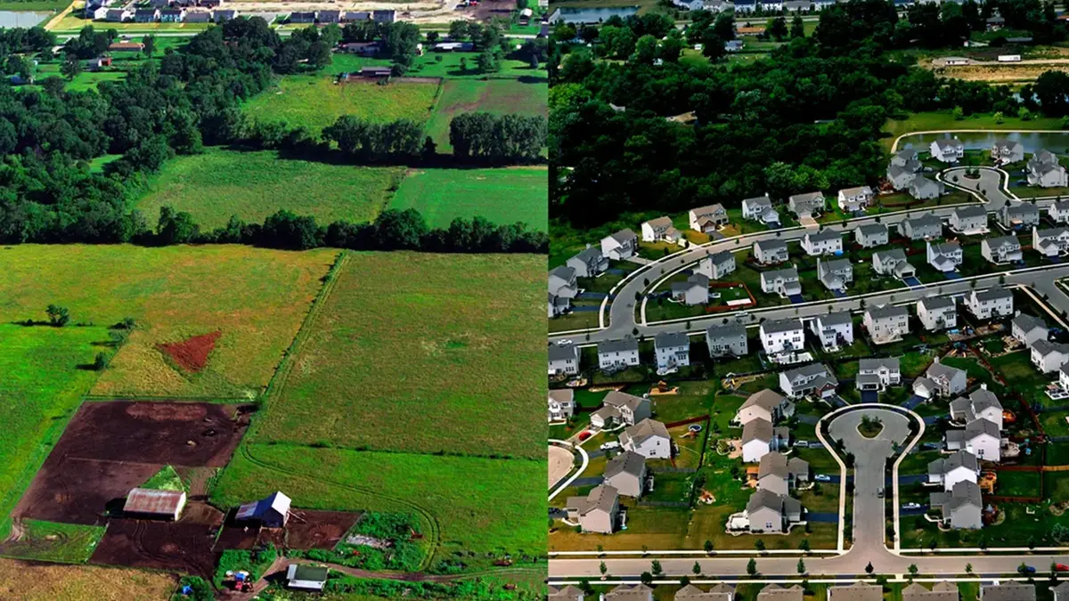 ۱۱ هکتار از اراضی مزروعی به کاربری اولیه در منطقه ۱۸ بازگردانده شد