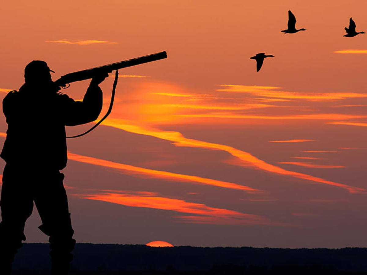 بازداشت شکارچی غیرمجاز سابقه‌دار در رودان هرمزگان