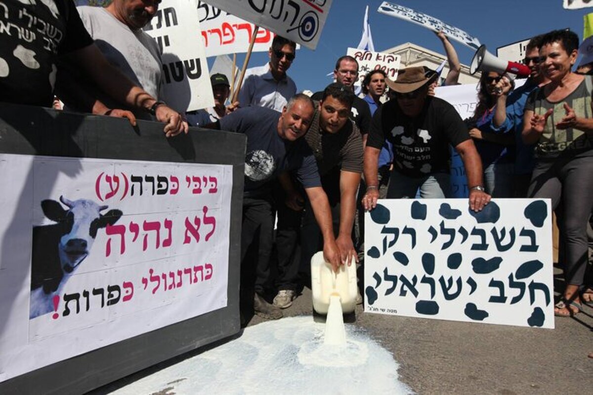 اعتراض دامداران اسرائیلی / بحران لبنیات به خیابان‌ها کشیده شد + فیلم