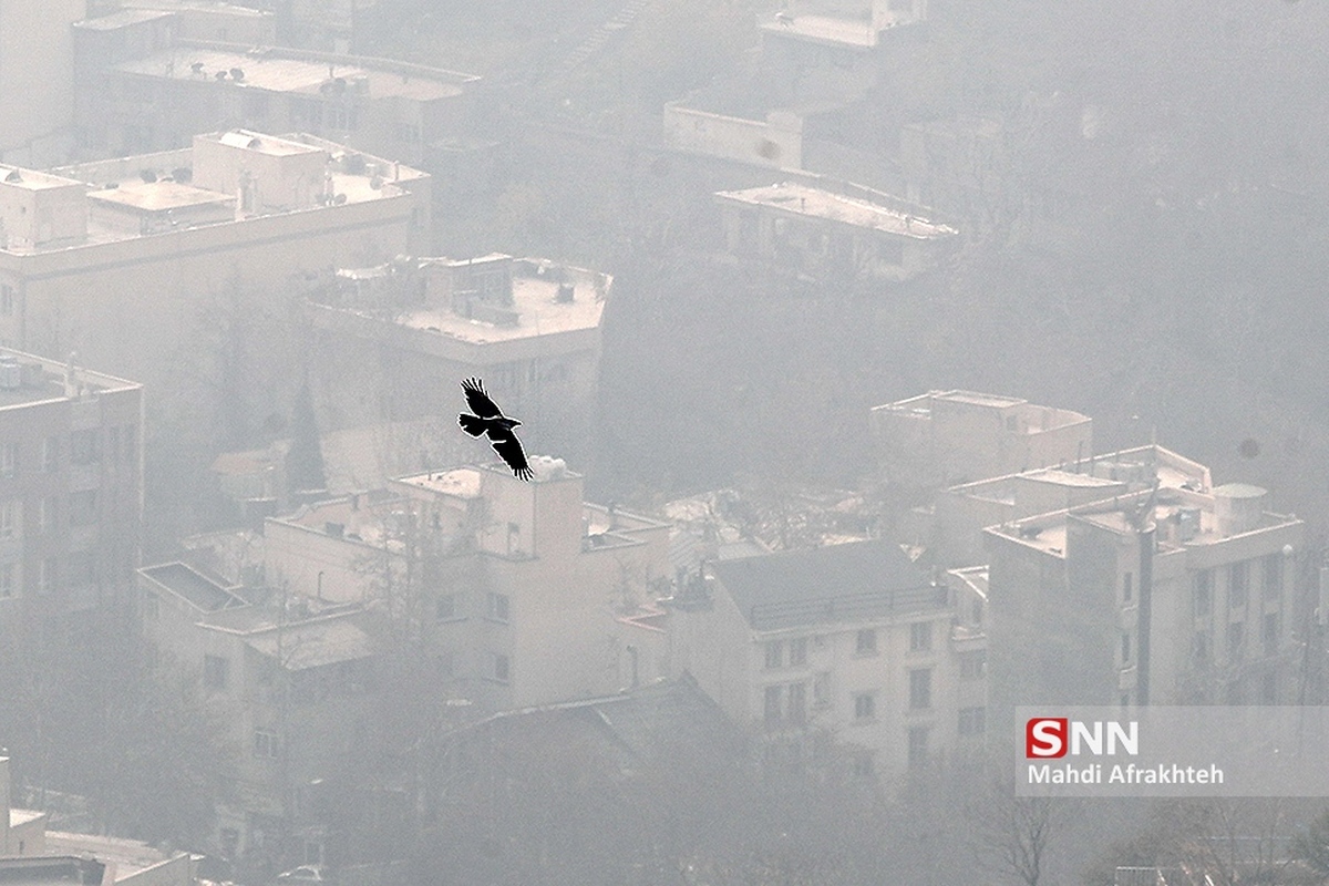 هوای تهران در وضعیت قرمز قرار گرفت