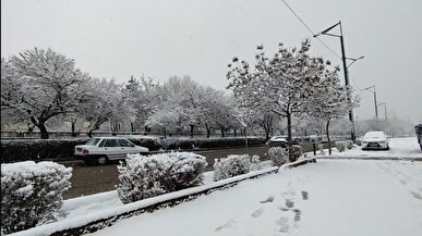 کارشناس هواشناسی قزوین: کاهش کیفیت هوا تا پایان هفته ادامه دارد / پیش‌بینی بارش برف در قزوین از روز شنبه