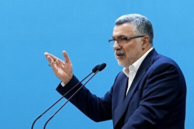 ظفرقندی: تامین دارو از مسیر‌های قانونی تضمین می‌شود