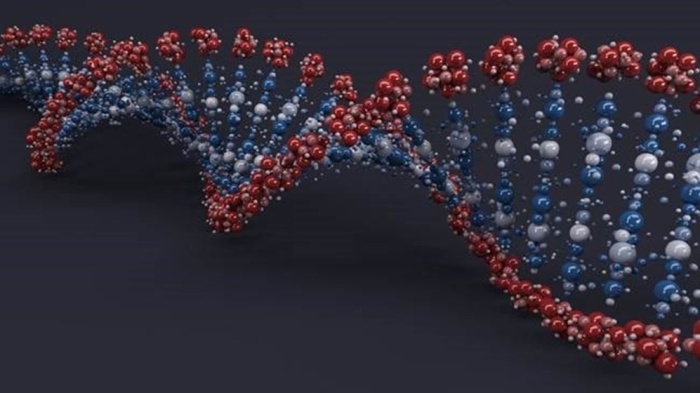 دستیابی به دانش فنی تولید حسگرهای شیمیایی به همت دانش آموخته دانشگاه تربیت مدرس