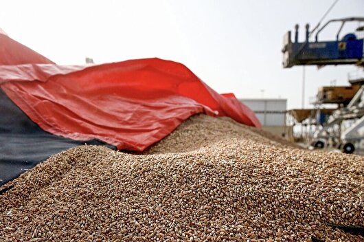 توزیع ۱۰ هزار تن نهاده‌های دامی در استان مرکزی با نرخ آزاد