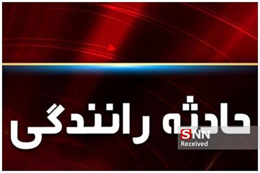 نقص فنی خودرو در بیرجند حادثه آفرید؛ ۲۰۶ در آتش سوخت