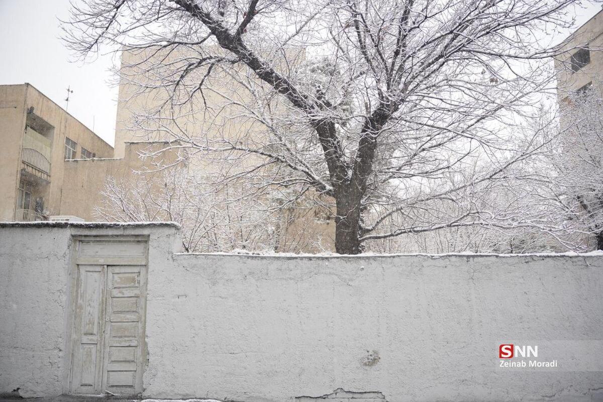 ورود سامانه بارشی طی یکشنبه هفته آینده به کشور