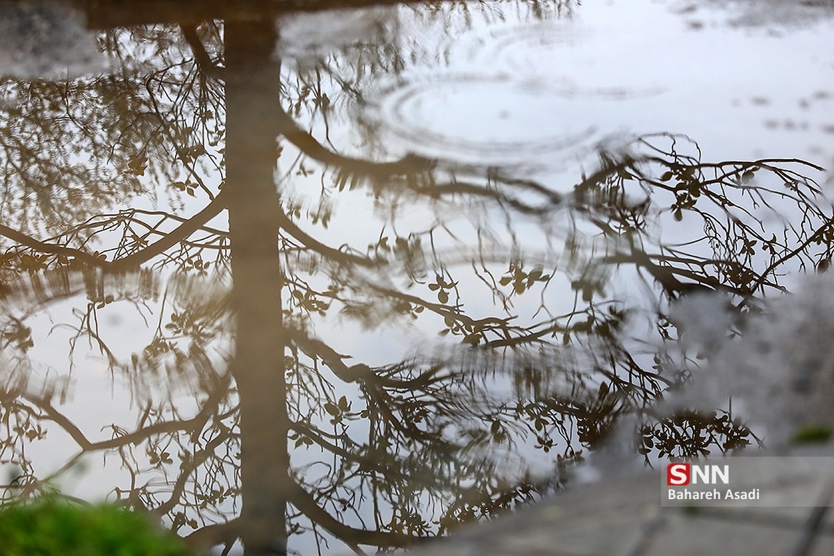 هوای قم بارانی می‌شود