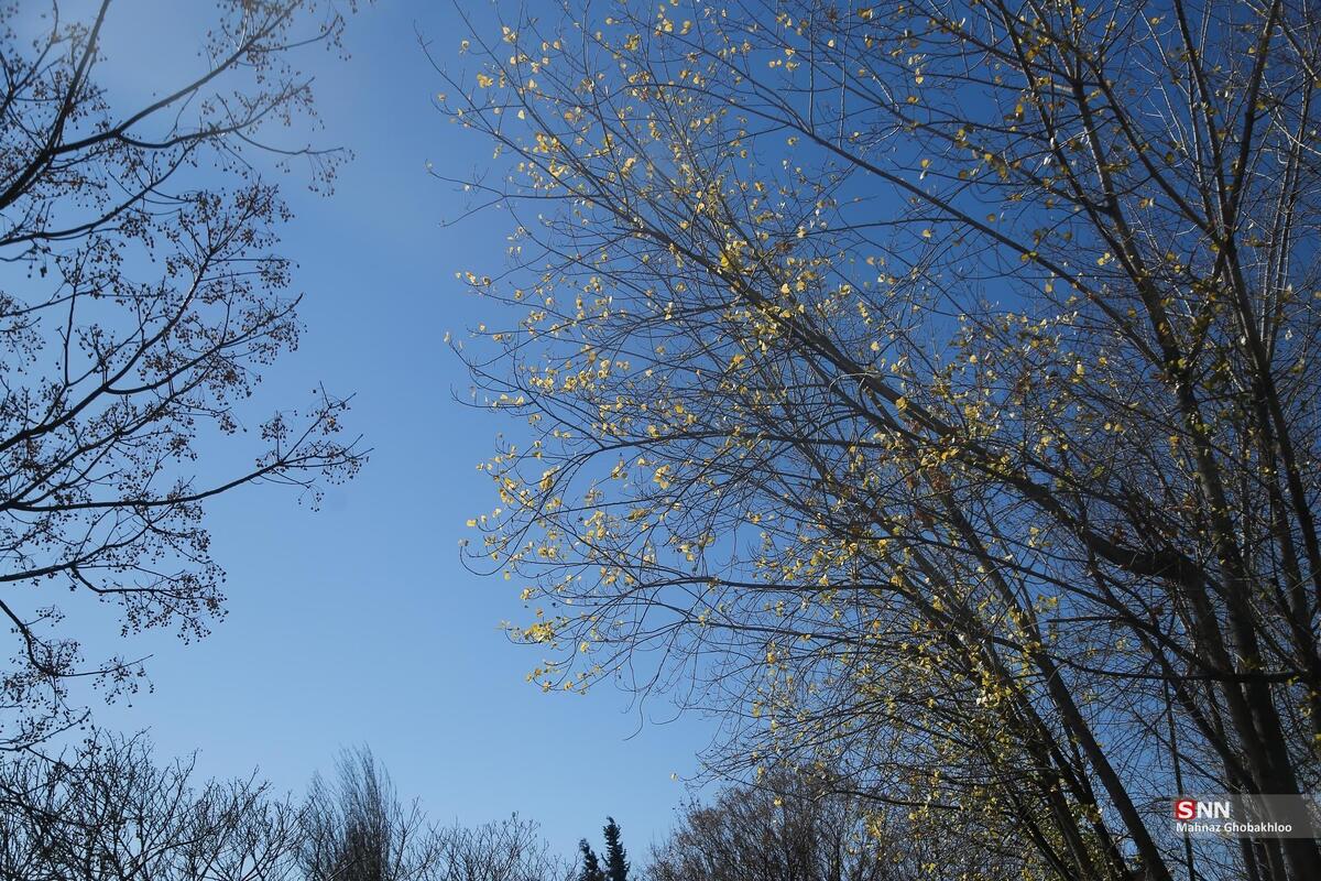 کیفیت هوای تهران در حال حاضر چگونه است؟