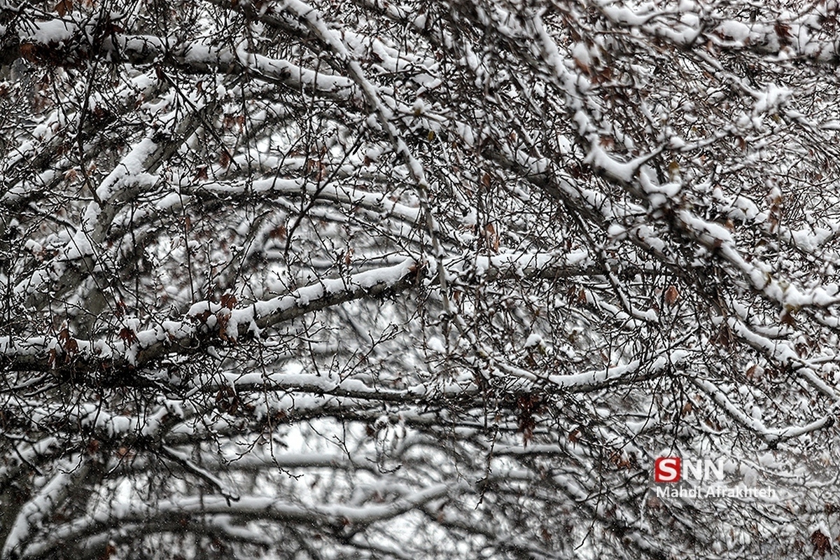 سوز سرما ادامه دارد/ پیشبینی بارش برای مناطق مختلف ایران