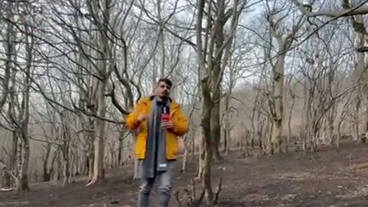 مهار آتش‌سوزی عمدی جنگل‌های رودبار حین اغتشاشات؛ دو عامل دستگیر شدند