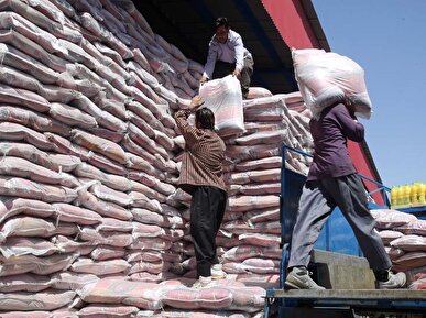 مدیرکل بازرگانی کرمانشاه: ۱۱۰ تن روغن خوراکی از ابتدای طرح کالابرگ جدید در استان توزیع شد