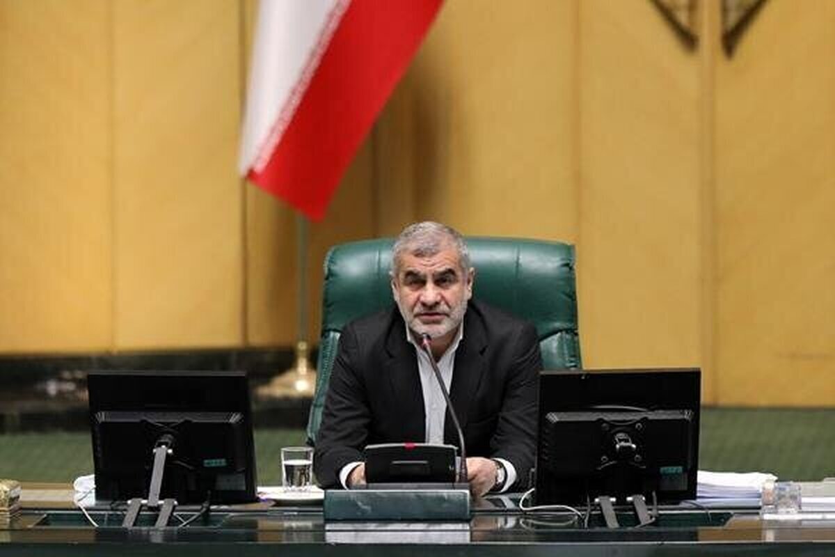 نیکزاد: آقای همتی بابت عدم حضور در کمیسیون تلفیق عذرخواهی کرد/ طبق قانون همتی و مدنیزاده باید در کمیسیون حاضر شوند + فیلم