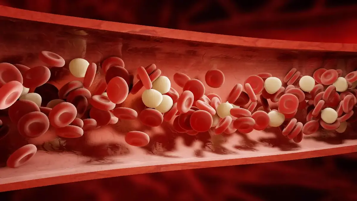 افت گلبول سفید خون، زنگ خطری برای سلامت بدن است