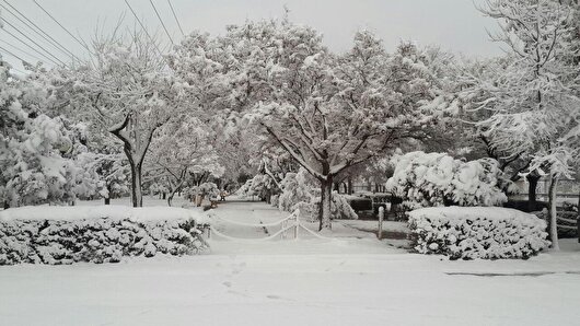 مدارس شیفت عصر زنجان غیر حضوری شد