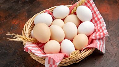 تولید تخم مرغ ۵ درصد کاهش یافت