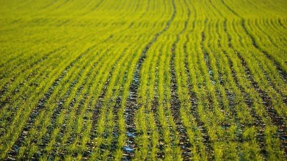 توسعه زیرساختهای کشاورزی کهگیلویه با اجرای طرح راه دسترسی اراضی زراعی