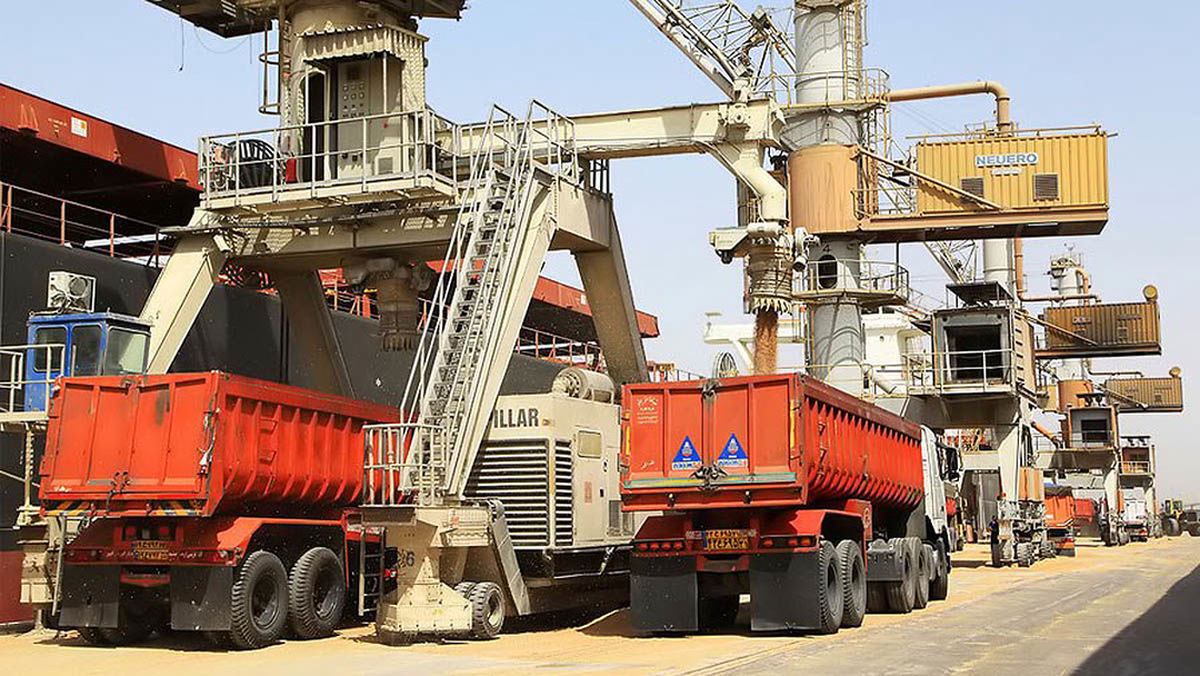 ۱۶ هزار تن کنجاله دامی با دستور قضایی از بندر امام خمینی (ره) ترخیص شد