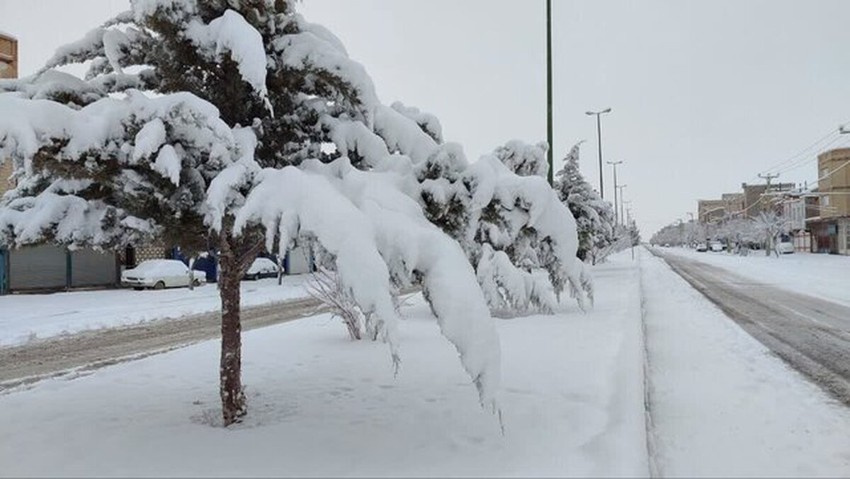 بارش برف و مه‌گرفتگی در محور‌های آذربایجان غربی