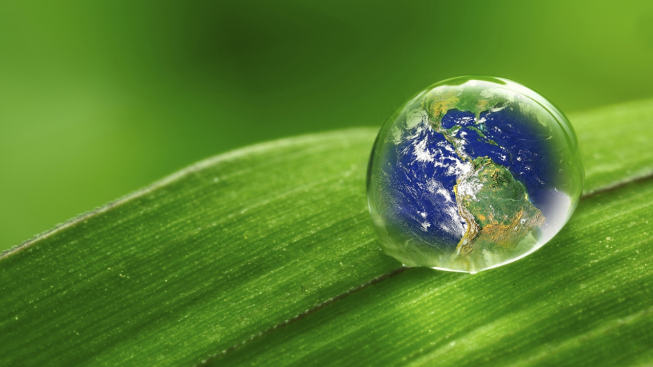 ۵۰۰ میلیون سال تکامل، ۹ ماه بقا در فضا/ راز مقاومت خزه‌ها چیست؟