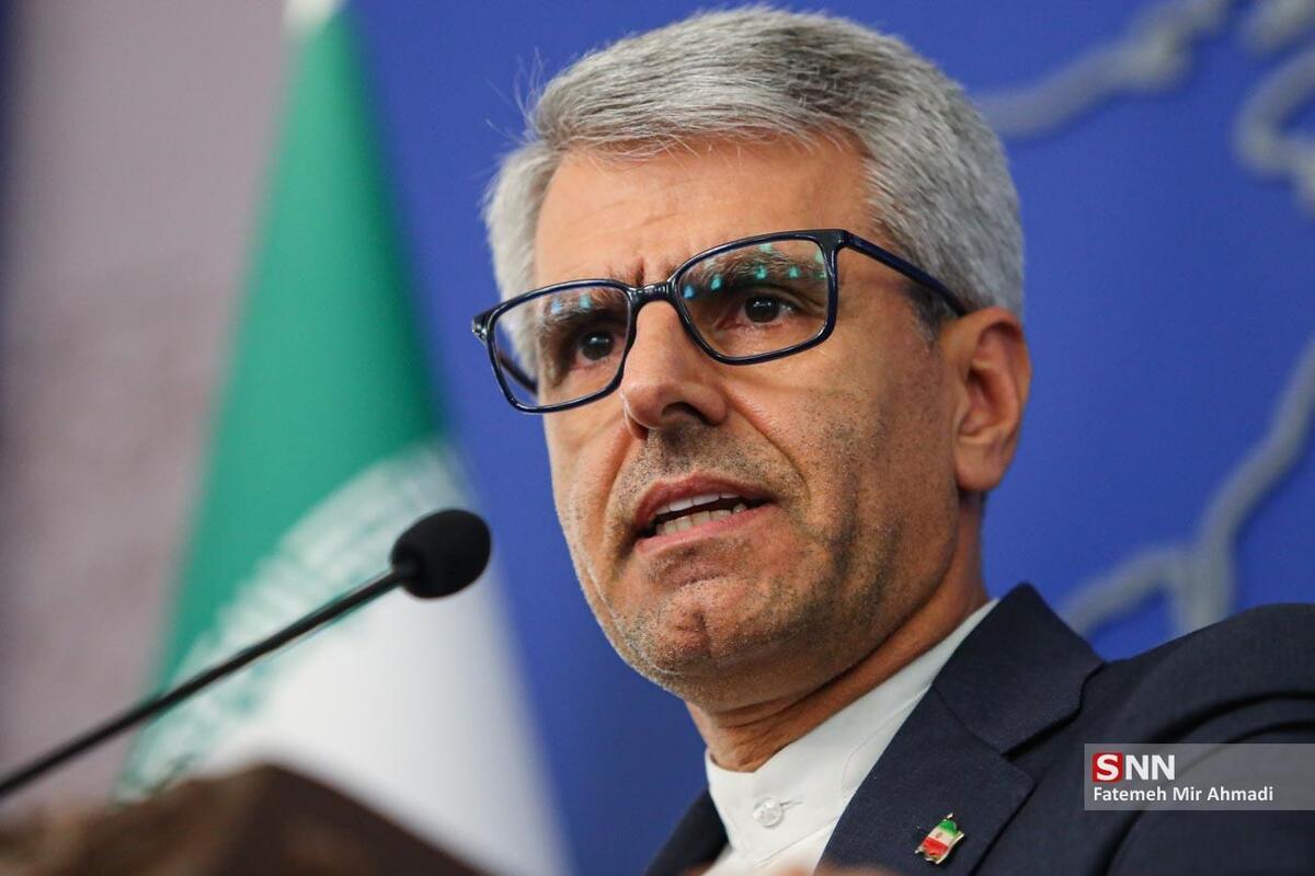 بقایی: با قوت پرونده شهید سلیمانی را پیگیری میکنیم + فیلم