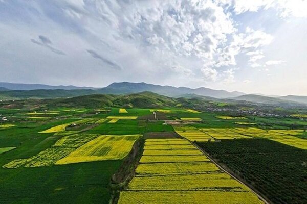 ۲۲۰۰ پروانه کسب کشاورزی در شهرستان سامان صادر شد