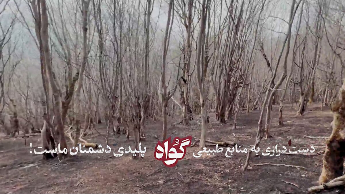 انتشار برای اولین بار| روایتی از آتش سوزی عمدی جنگل های رودبار و گیلان همزمان با شروع اغتشاشات در سطح کشور