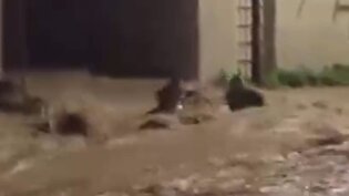 سیل شدید در تونس و جان باختن ۴ نفر